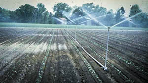 Balsas y Redes de Riego